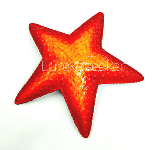 3D Orange Starfish Metal Wall Art 28cm